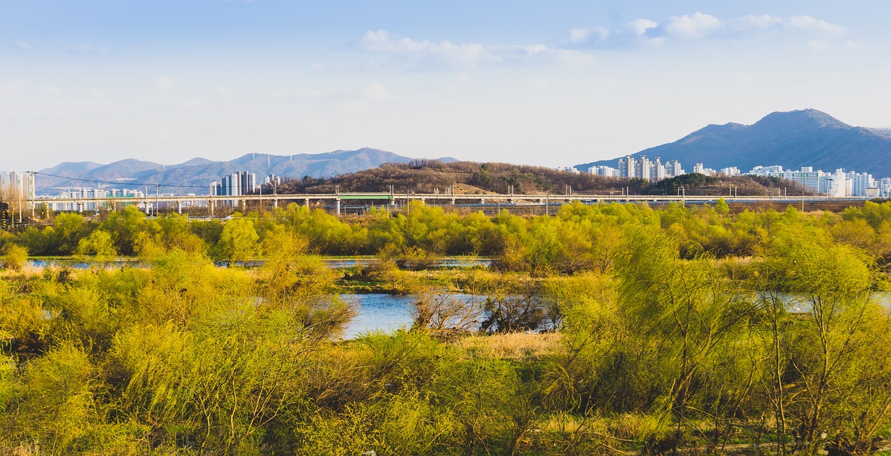 대구 팔뚝지방흡입
