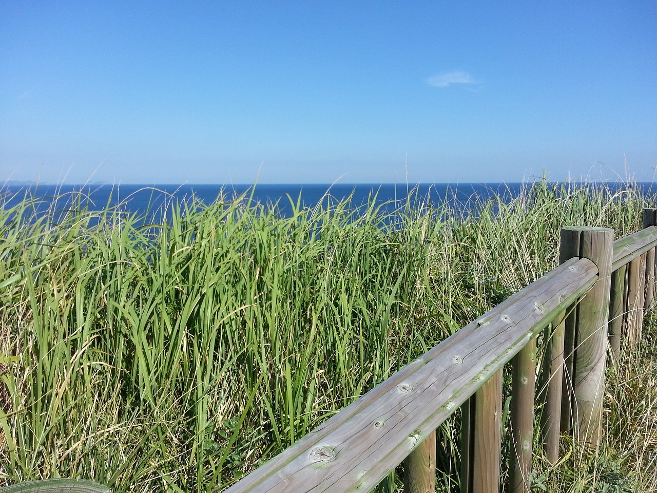 제주 올인클루시브