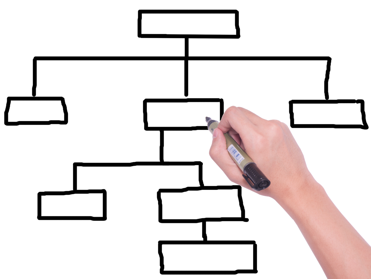 유아학습사이트